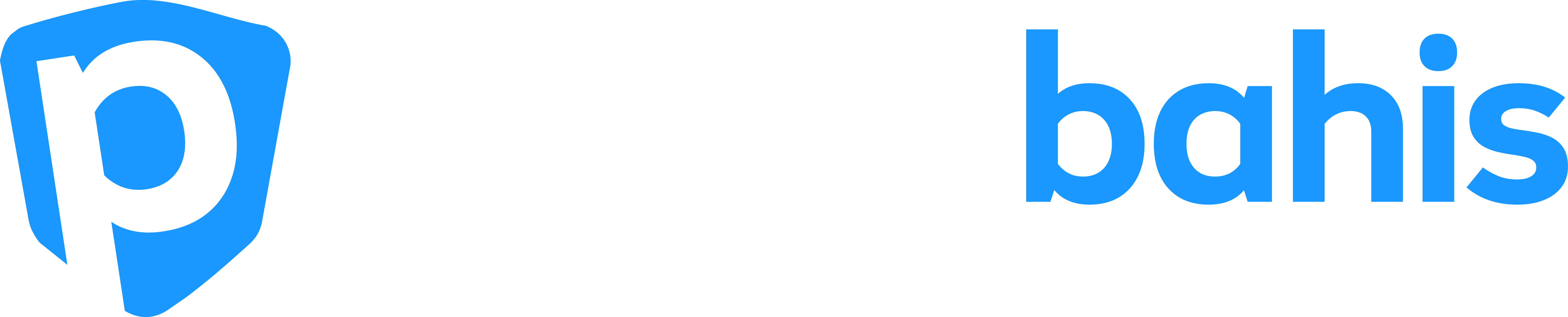 PrimeBahis